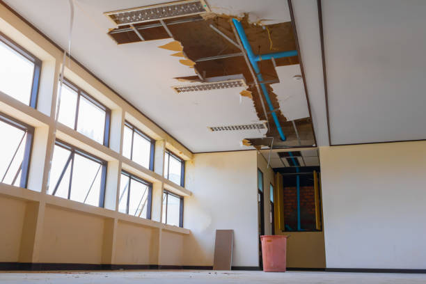 Best Flooded house restoration  in Kane, PA