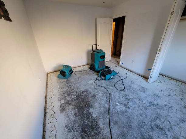 Best Residential water damage restoration  in Kane, PA