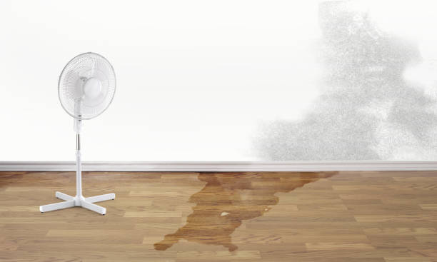 Best Water damage restoration near me  in Kane, PA