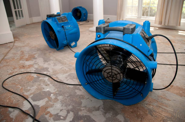 Reliable Kane, PA Water damage restoration Solutions