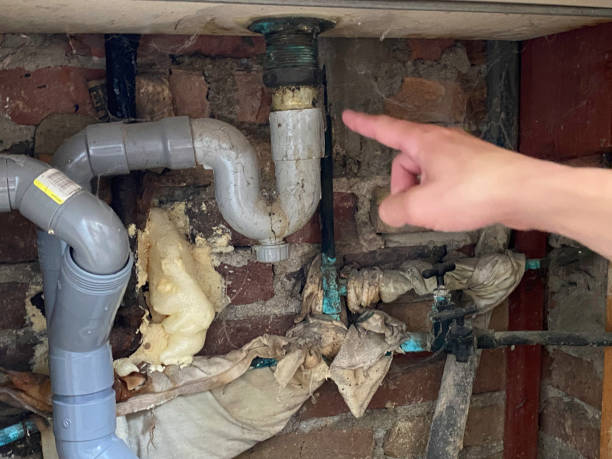 Best Water damage restoration near me  in Kane, PA