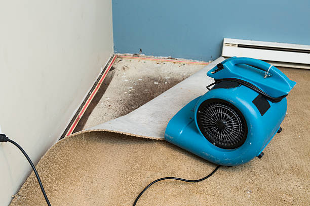 24/7 water damage repair in Kane, PA